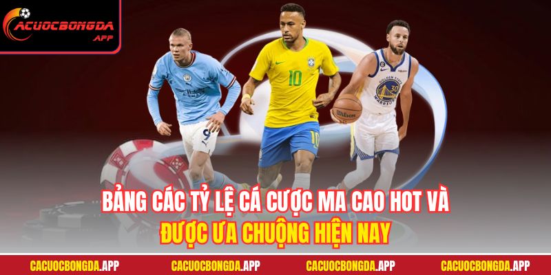 Bảng các tỷ lệ cá cược Ma Cao hot và được ưa chuộng hiện nay