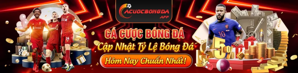 banner cá cược bóng đá