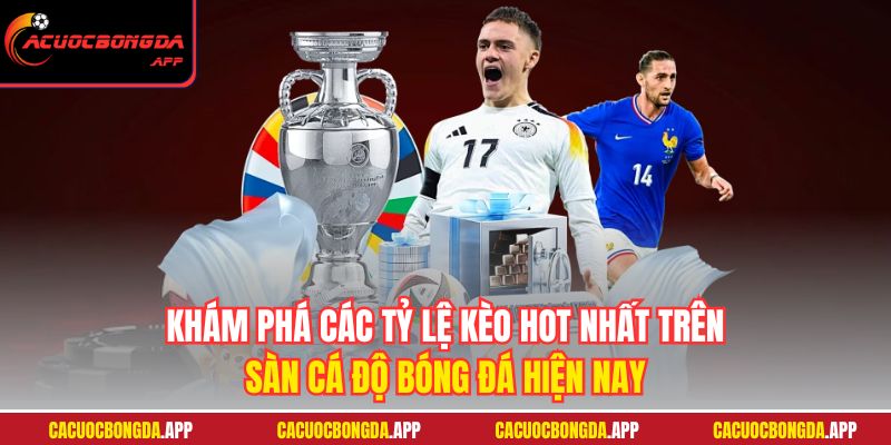 Khám phá các tỷ lệ kèo hot nhất trên sàn cá độ bóng đá hiện nayKhám phá các tỷ lệ kèo hot nhất trên sàn cá độ bóng đá hiện nay